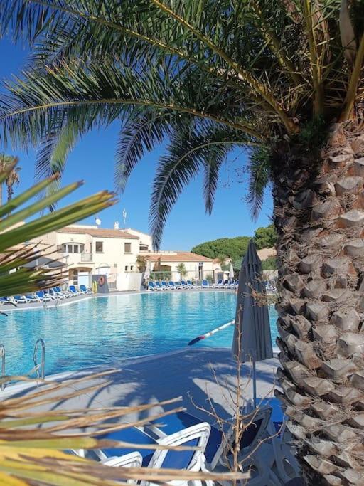 Studio Renove Dans Residence De Vacances Avec Grande Piscine Chauffee, Parking Et Terrasse Agde Eksteriør billede