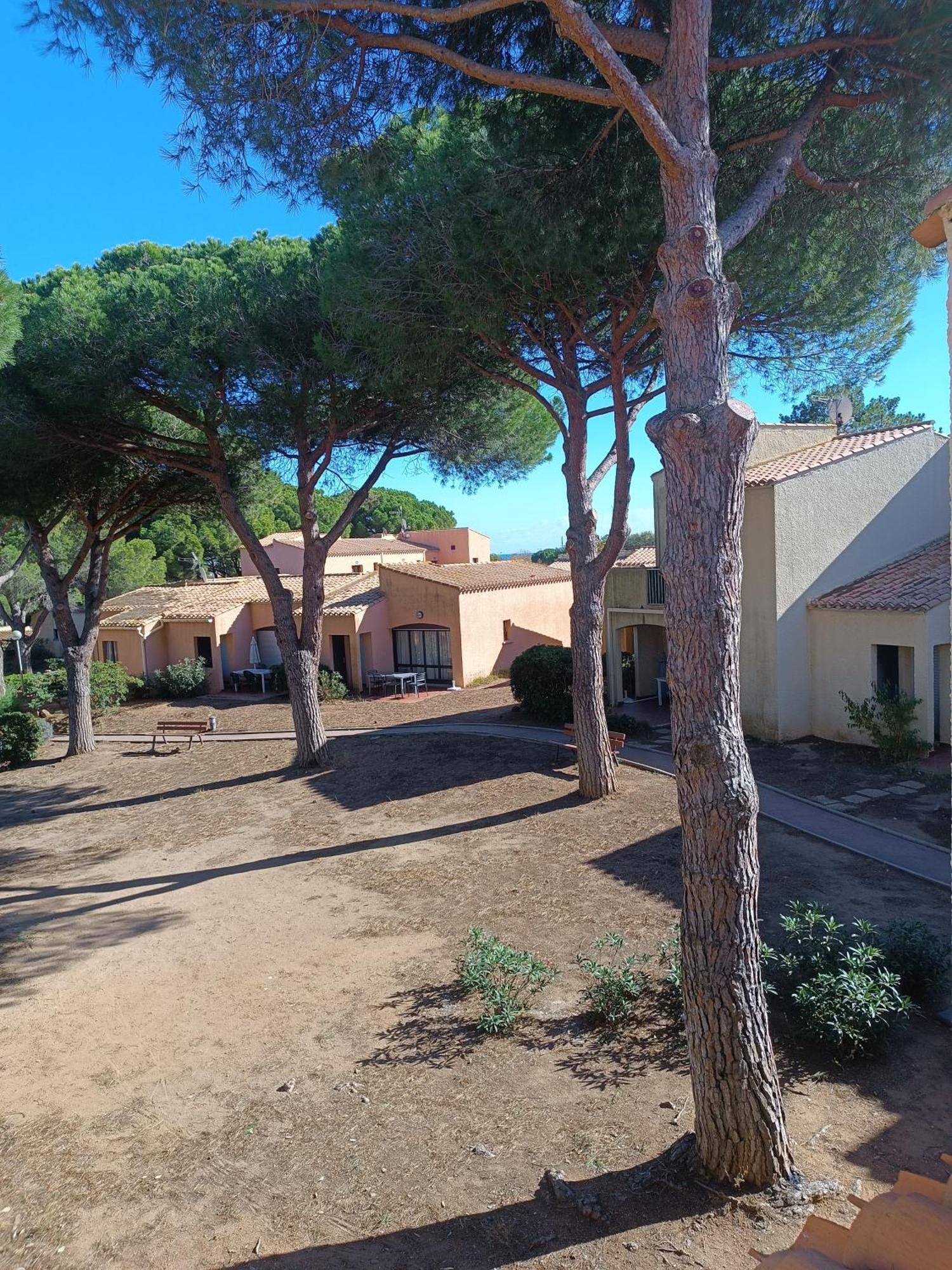 Studio Renove Dans Residence De Vacances Avec Grande Piscine Chauffee, Parking Et Terrasse Agde Eksteriør billede